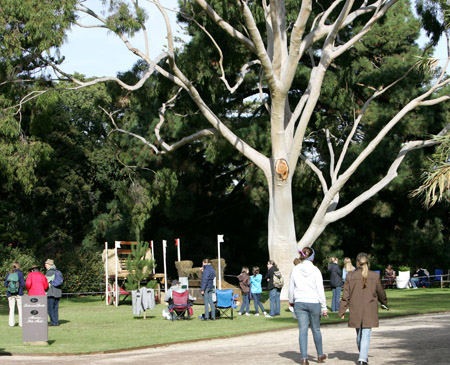Werribee Park Trees