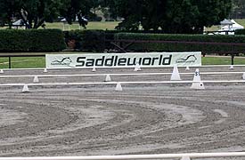 Saddleworld Signage