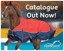 Saddleworld Autumn 2014 Catalogue