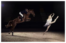 Horses and Ballet