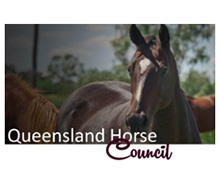 Queenslan Horse Council