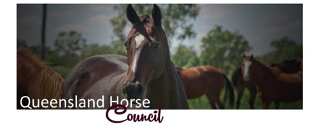 Queensland Horse Council
